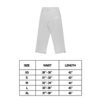 VSZN JOGGERS - GREY